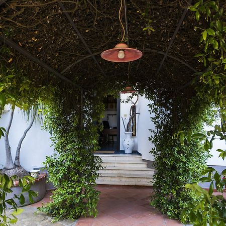 Villa Gio B&B De Charme Montecorice Exterior photo